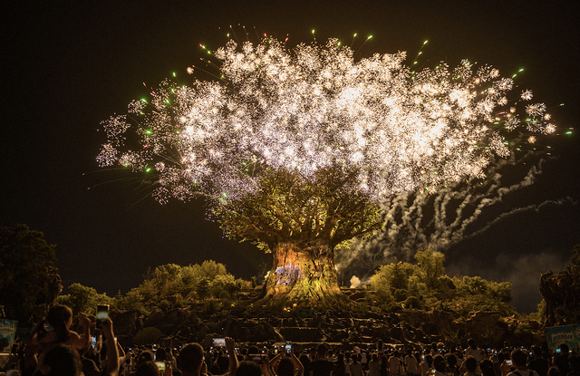 郑州银基动物王国入选2025抖音十大热门景点