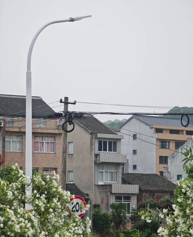 想搬去杭州了