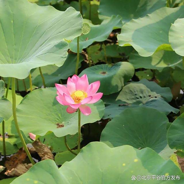 “到点了，我~想~开~了~”