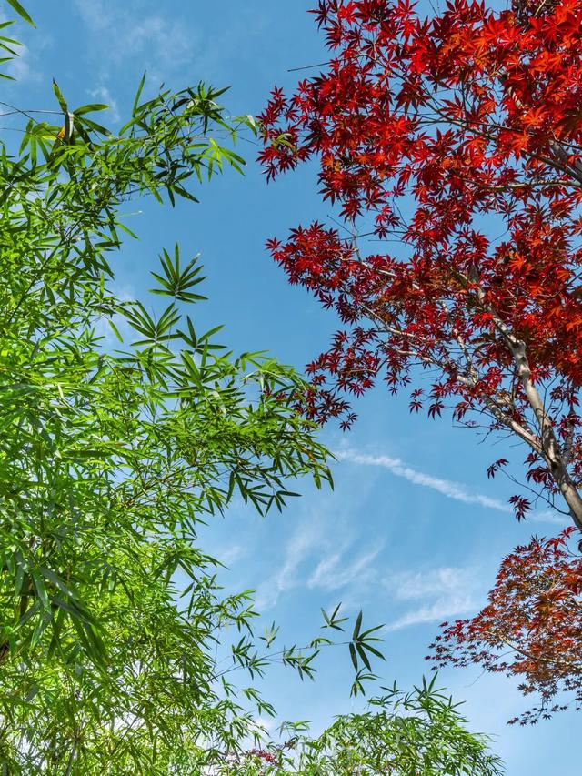 葛仙村“燃”起来了！白天晚上都好玩到“上头”