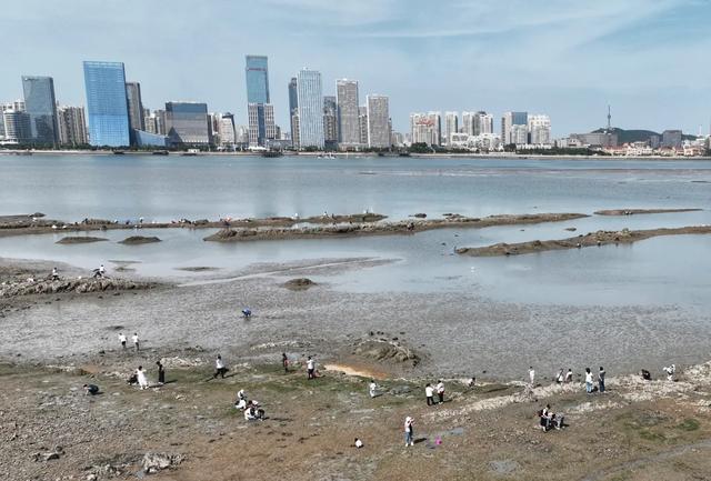 大海开启“摇滚模式”，秋潮有多“野”？