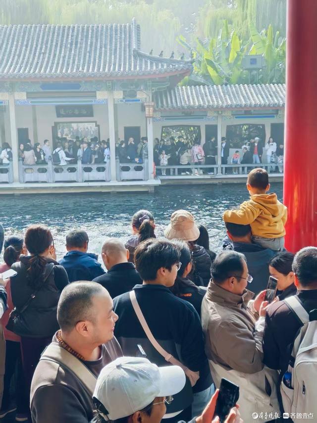 秋高气爽，济南观泉赏菊好时光