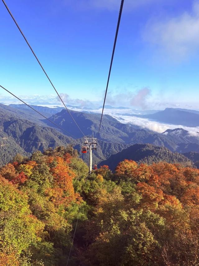 今日实拍‼️瓦屋山秋日彩林美疯啦~