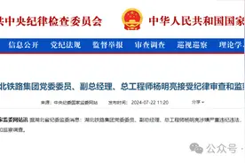 湖北一省属国企副总经理、总工程师，被查图片