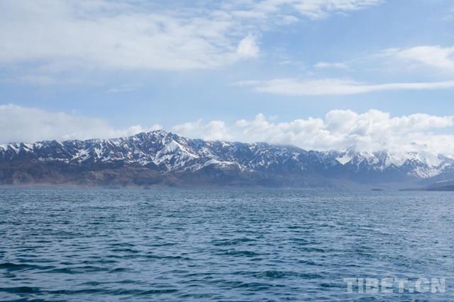 班公湖夏野光景
