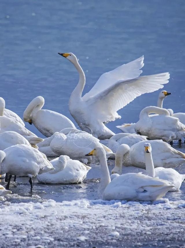 雪落山海，一城冬色入画来~