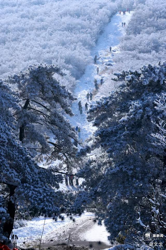 晚潮｜桐杭岗今冬第一场大雪