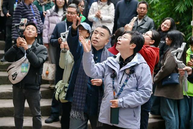 文化中国行｜蒙曼：大足石刻的创新设计，很不可思议！