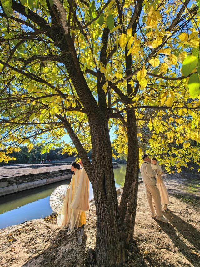 秋光曼妙！圆明园秋日胜春朝