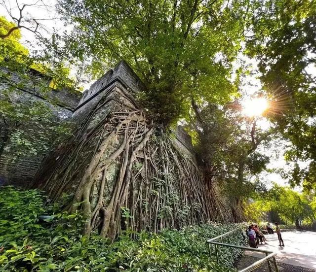 暴走2000年广州！这本书才是Citywalk终极地图