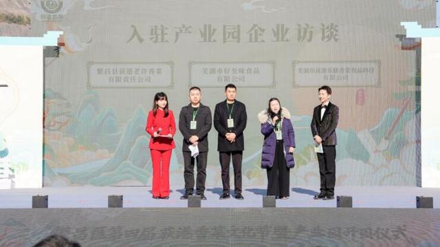 第四届芜湖荻港香菜文化节暨产业园开园仪式圆满落幕