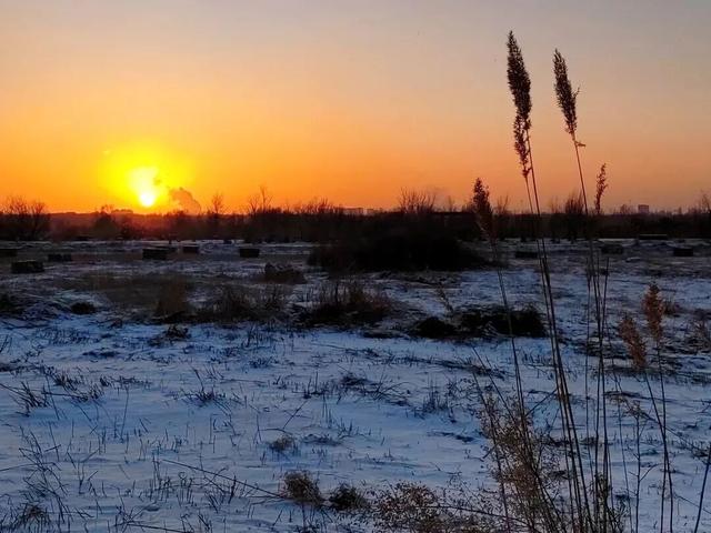 免门票！住宿折扣！包头文旅“放大招”啦！