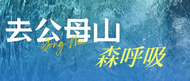 避暑攻略 | 盐源告诉你凉山的三伏天有多清凉！