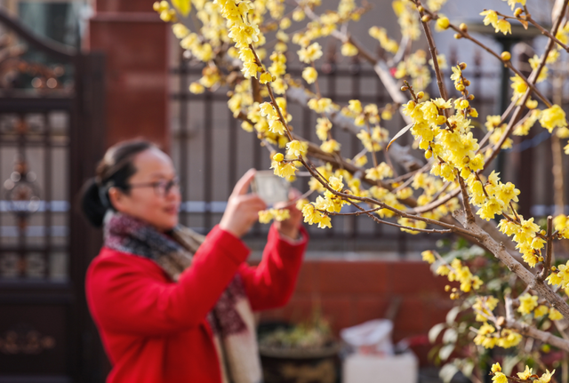 “Mei，我在连云港想开了！”