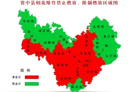 男孩玩鞭炮引爆化粪池致多车受损，责任该如何分担？图片