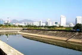 近自然修复实现城市湿地与越冬候鸟和谐共生——深圳湾红树林湿地修复项目图片