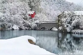刘学光‖雪在下着图片