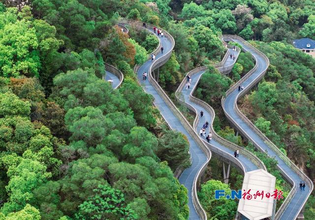 为什么澳洲华裔说“福州比想象中更有温度”？答案就在这里