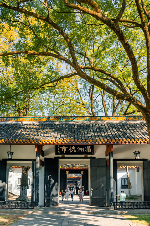 任克威·邂逅星城｜于湖大深秋，于湘江夜色