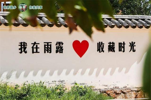 秋游新体验上线！楚雄这些乡村藏着别样惊喜