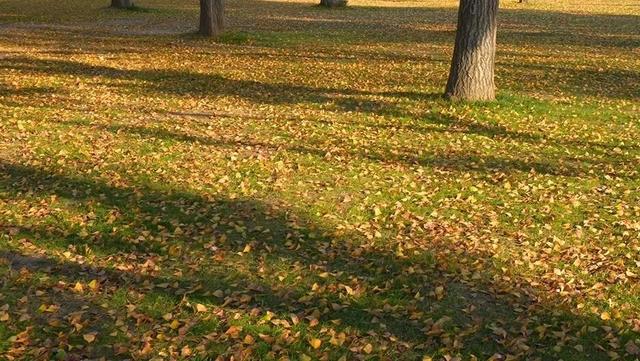 出片率100%！海陵“含金量”在上升！