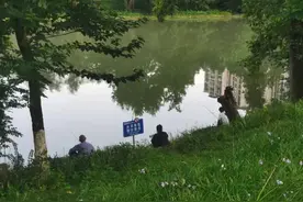 7月1日起！秀山全面恢复→图片