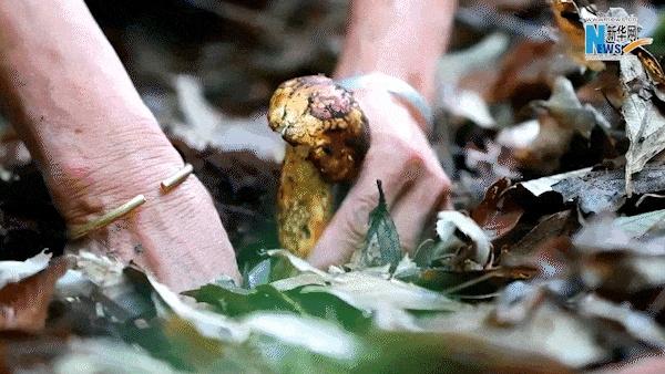 冬日云南，温暖不仅在阳光里