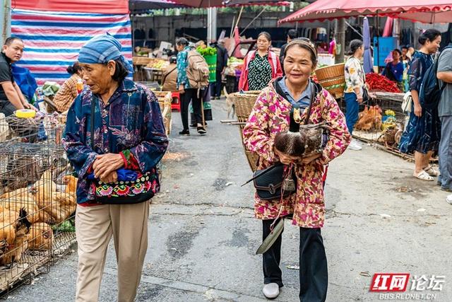 秋游时刻丨湘西苗族聚集地的赶集日常，藏着最鲜活的民族烟火