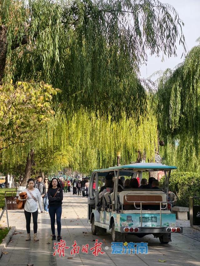 一年四季 泉在济南丨赴一场冬日湖畔之约，且看诗意的泉城济南