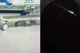 网传临沂郯城有人被弓箭射伤，当地：嫌疑人已被抓获图片