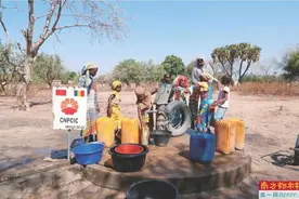 守护动植物王国 修复马六甲古建 中国企业海外“圈粉”图片