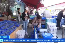 价格打不下来？这种水果月底将大量上市图片