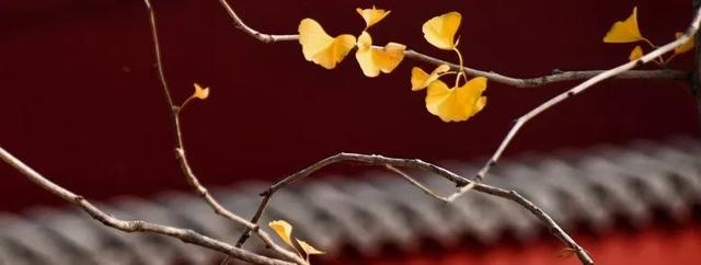 周末天气晴好，徒步去→