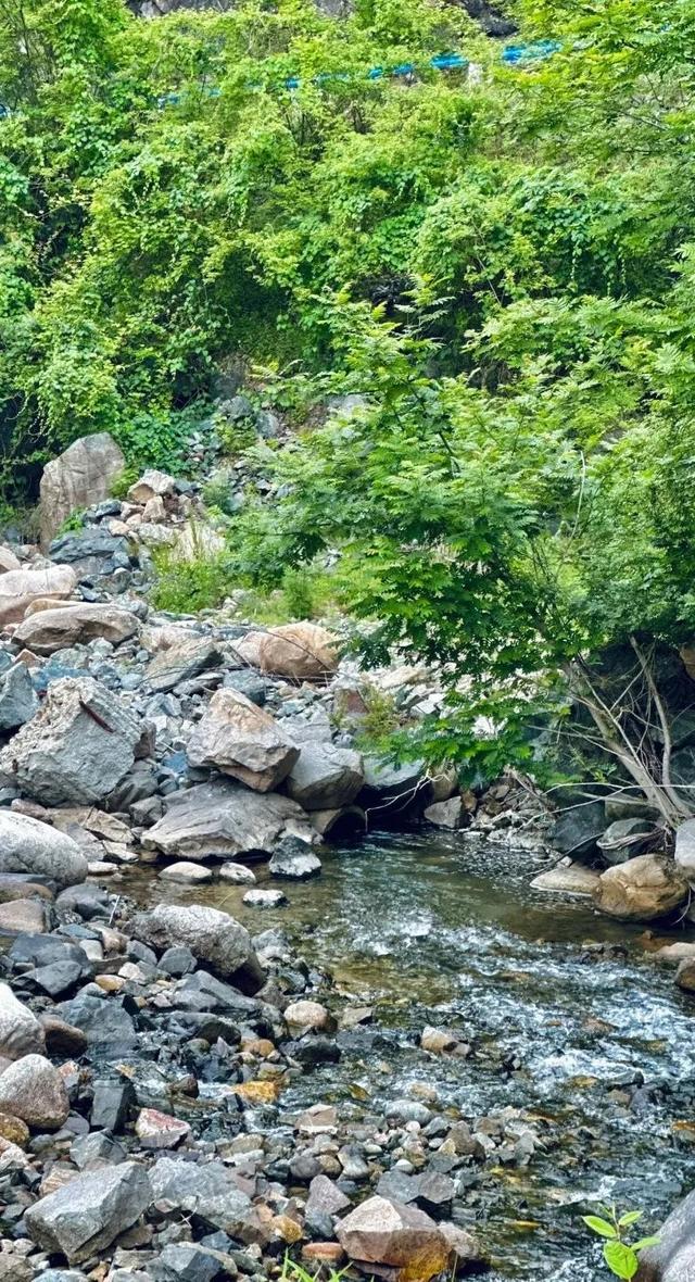 豫见两山 绿色答卷丨生态之旅——打卡“生物多样性魅力城市”南阳