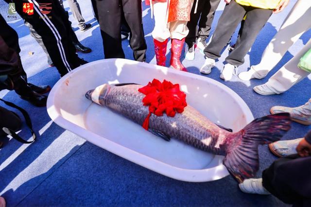 “2025余杭完美生活嘉年华”启幕，初冬时节点燃消费热情