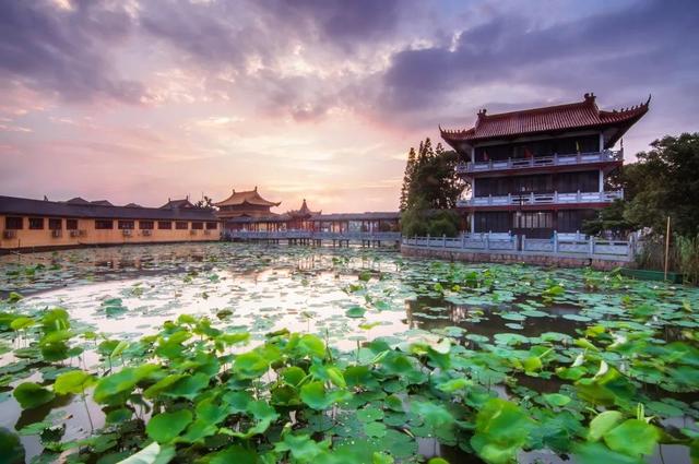 免费坐！明天起，悠游大运河旅游巴士“开跑”！