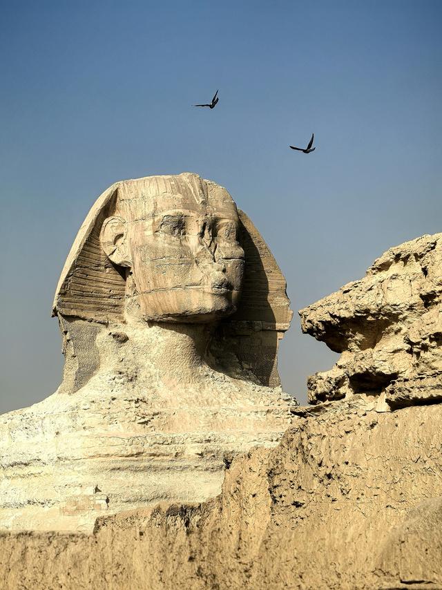 晚潮｜吉萨平原上的背影