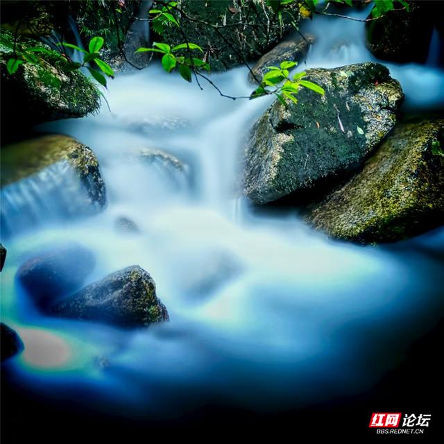 【每日一图@湖南】去炎陵县白鹇谷，听青苔与流水说情话