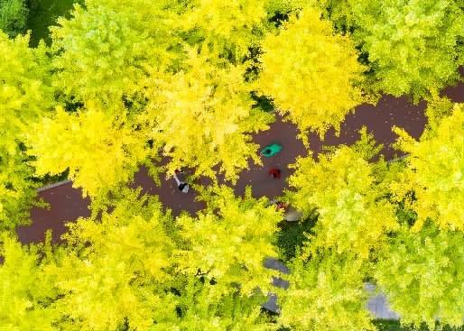 姗姗来迟，湖南秋天正在慢慢“缩水”