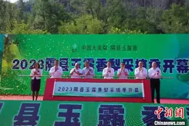 “中国梨都”山西隰县邀客来一场梨果之约图片