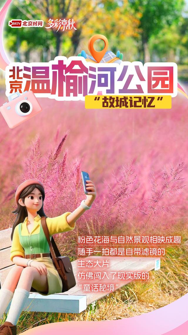 北京6大粉黛花海正盛放！美到窒息，再不去就晚了