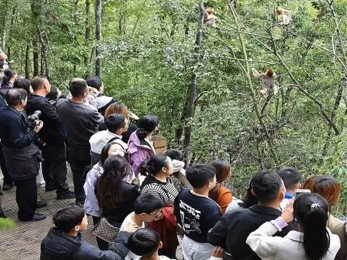 九寨沟县2025年“国庆·中秋”黄金周旅游市场持续火爆 旅游接待再创新高