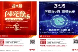 华夏银行推出全新个人消费贷款产品“龙e贷”图片