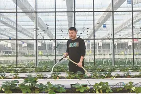英山县孔坊乡多措并举探索共同富裕之路图片