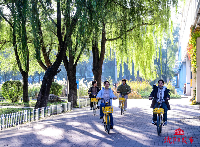 太美了！11月的沈阳，是这样的……