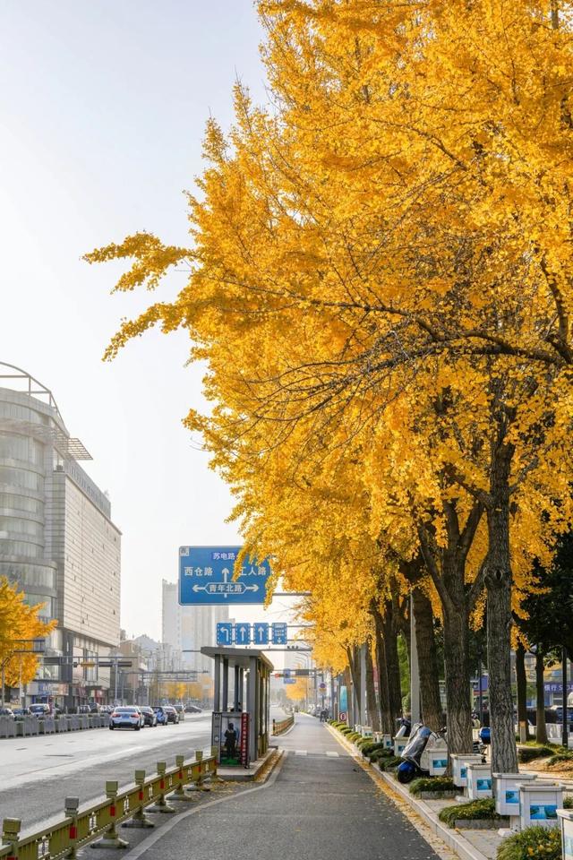 出片率100%！海陵“含金量”在上升！