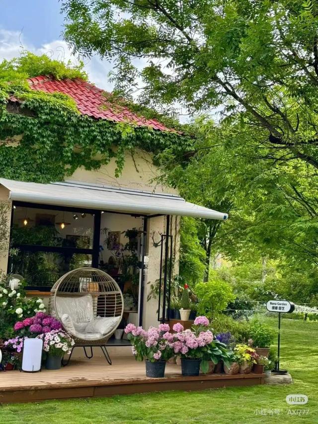 想把临沂的春天打包送给你，临沂最全赏花攻略来了