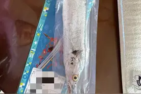 启东马拉松送出“最鲜”参赛包，跑友晒出收获一条带鱼图片