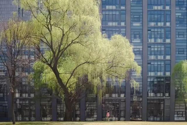 推开南开的窗，你会看到——