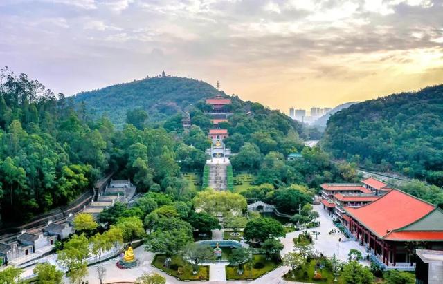 重阳登高好去处，顺德这些打卡点让你尽揽秋色！